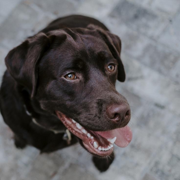 Jordan Kim, Client Relations Director, discussing corporate gifting strategy with business clients